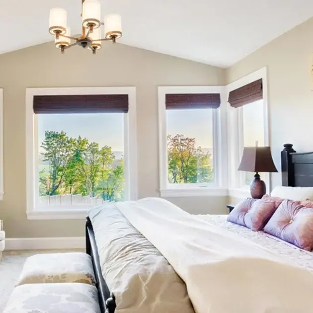 Professional cleaning service
